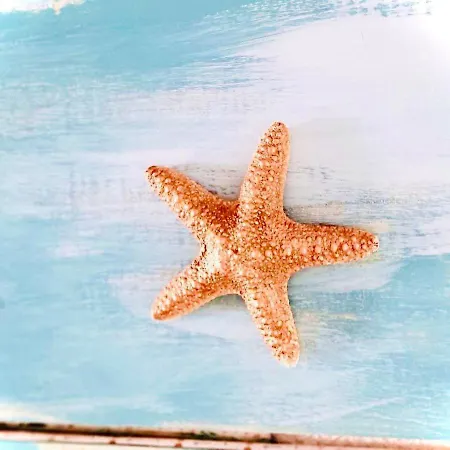 Port Royal Sea View Los Cristianos (Tenerife)